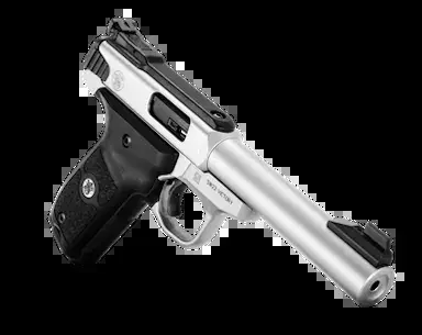 SW22 VICTORY® TARGET MODEL