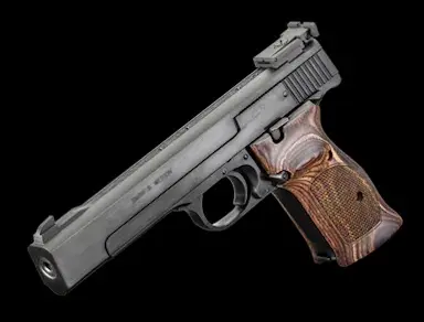 SW MODEL 41