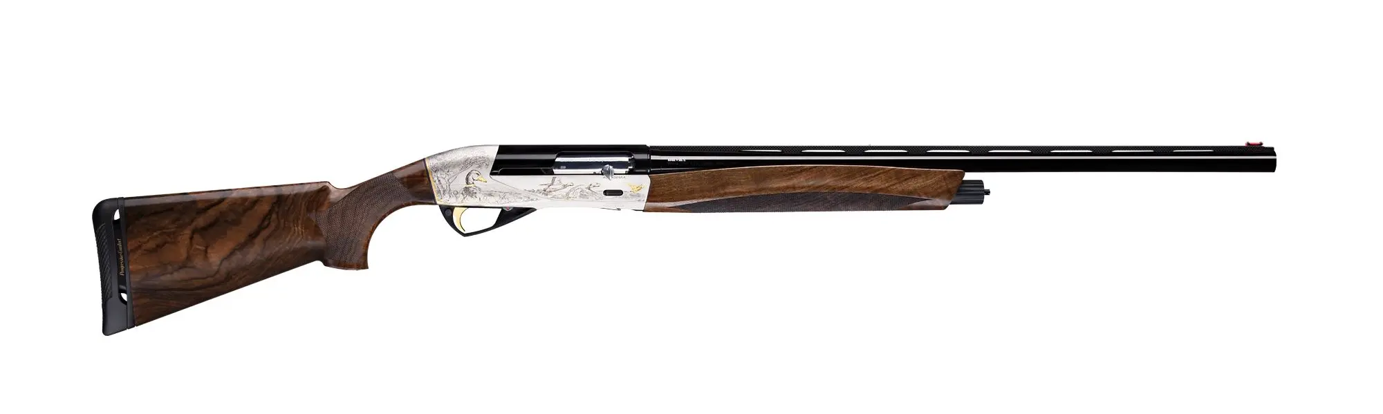 Benelli Raffaello Accademia