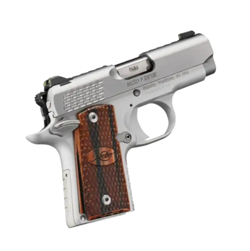 Kimber MICRO 9 STAINLESS RAPTOR