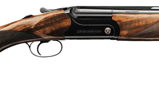 Sauer ARTEMIS 12