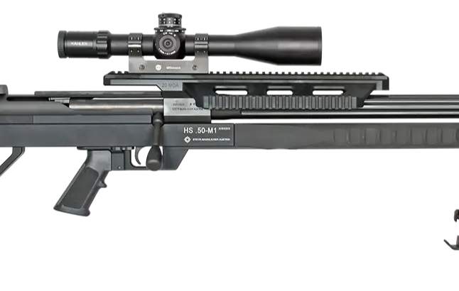 STEYR HS .50 M1